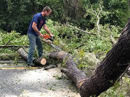 Best Aeration Services  in East Rockaway, NY